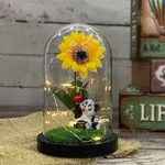 Işıklı cam fanus 1