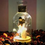 Işıklı cam fanus 2