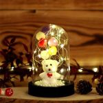 Işıklı cam fanus 6